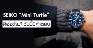 Seiko Mini Turtle คืออะไร